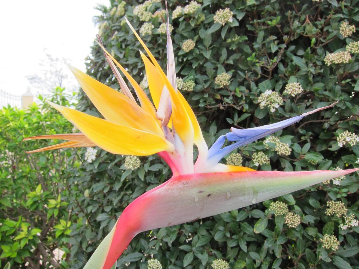 Reves D'Ocean Bed & Breakfast Santa Barbara de Nexe Exterior photo